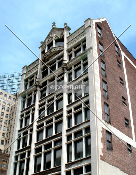 Photo 785-999-277