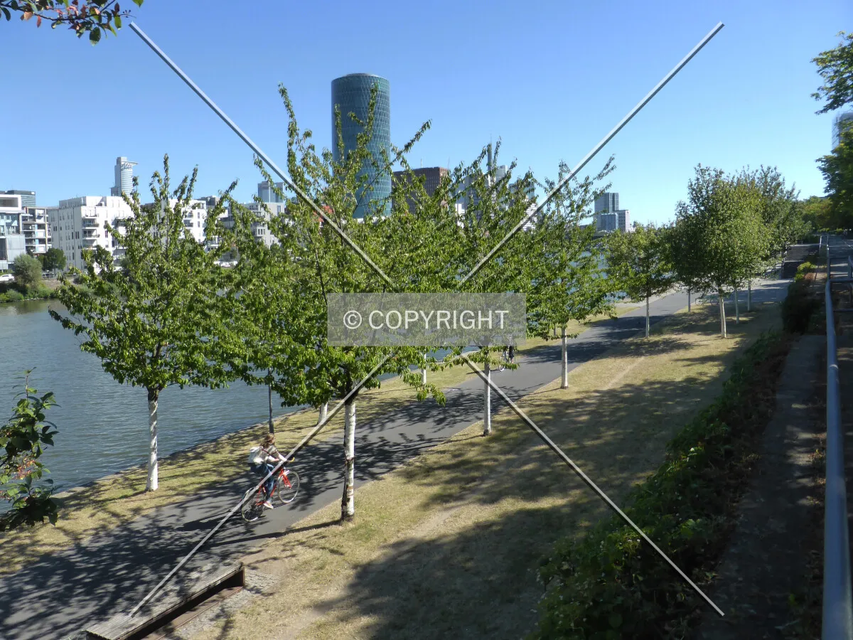 At the Main river shore