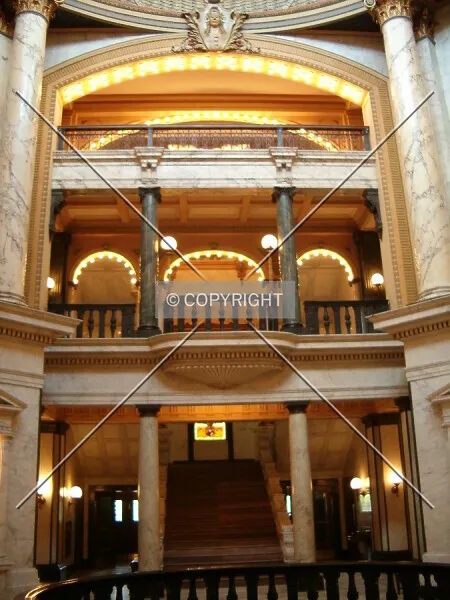 Photo 786-753-672