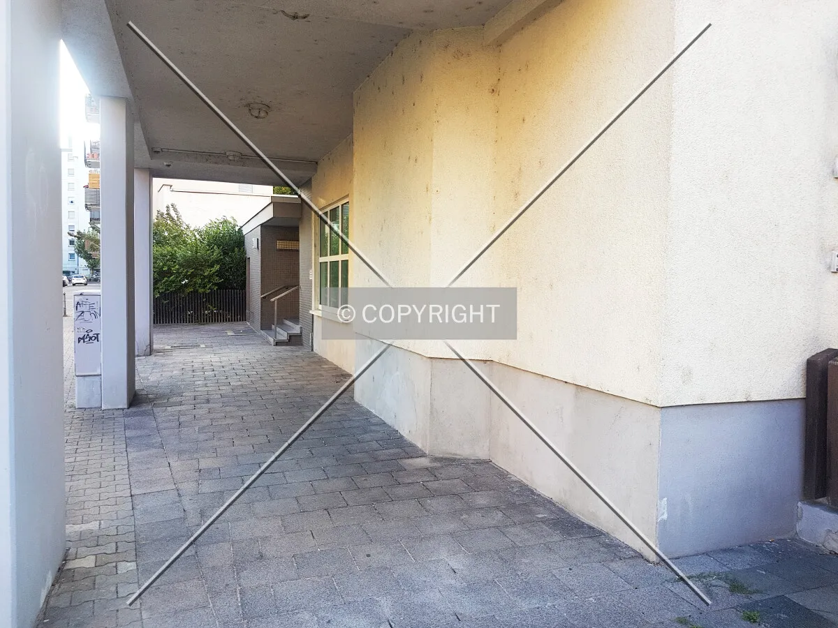 Photo 786-850-649