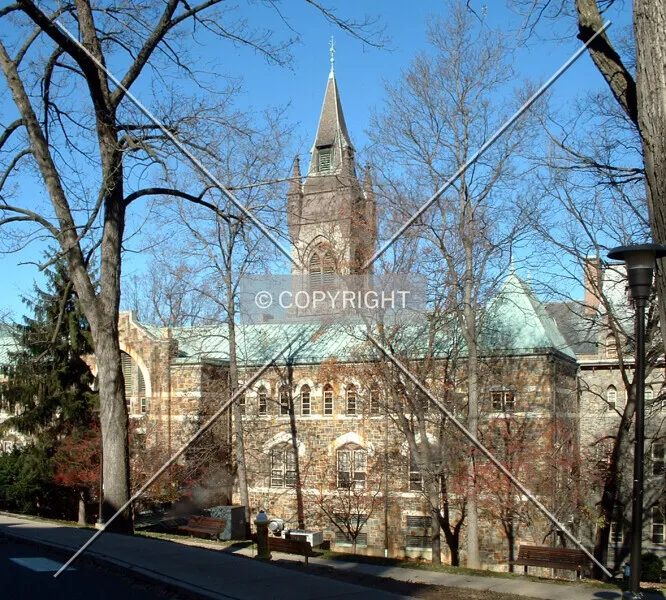 Photo 787-539-478