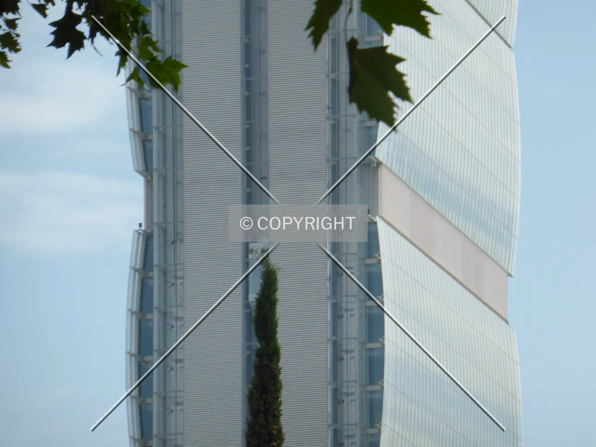 Photo 787-636-191