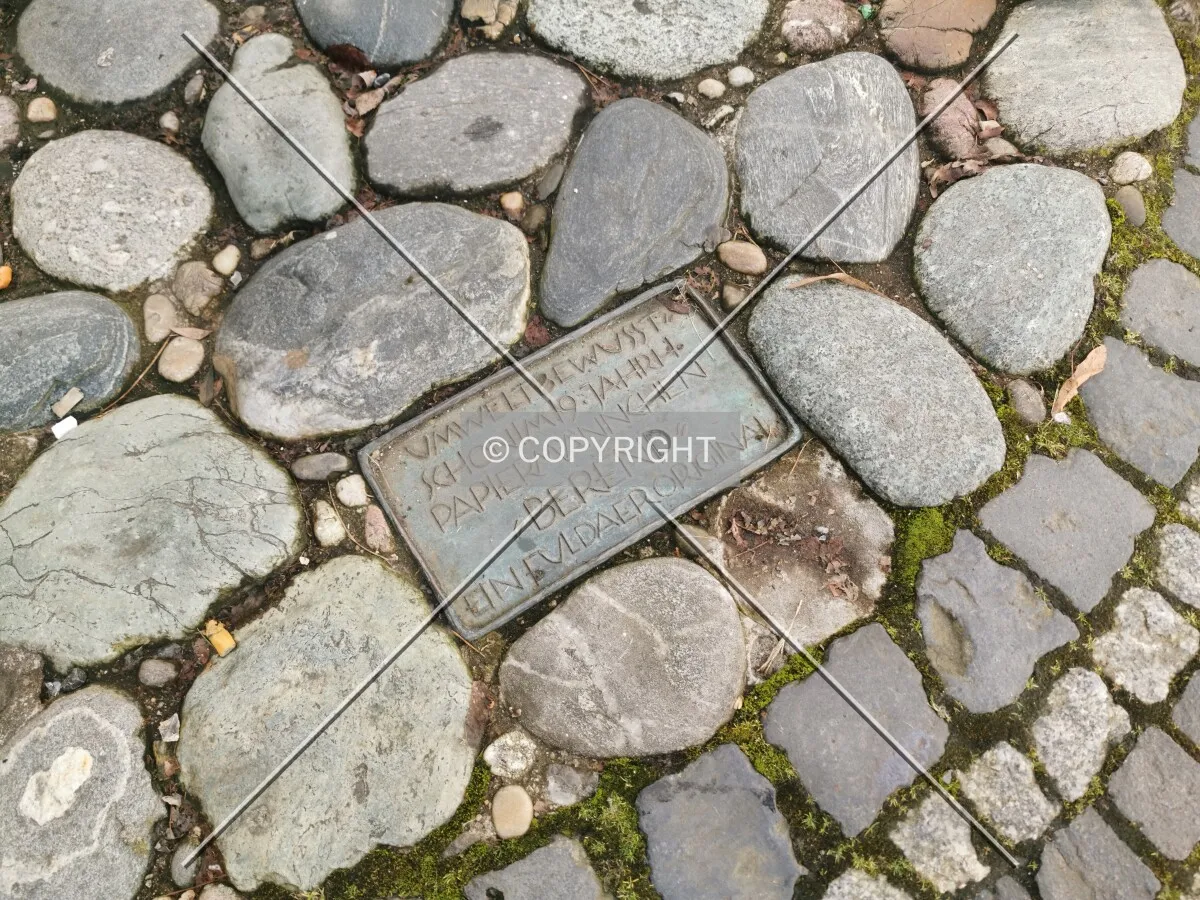 Photo 787-687-587