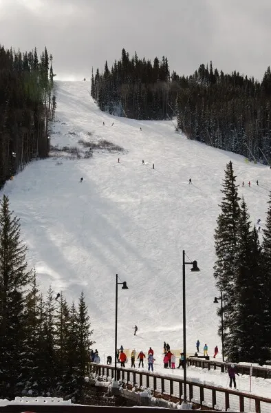 Photo 078-781-085