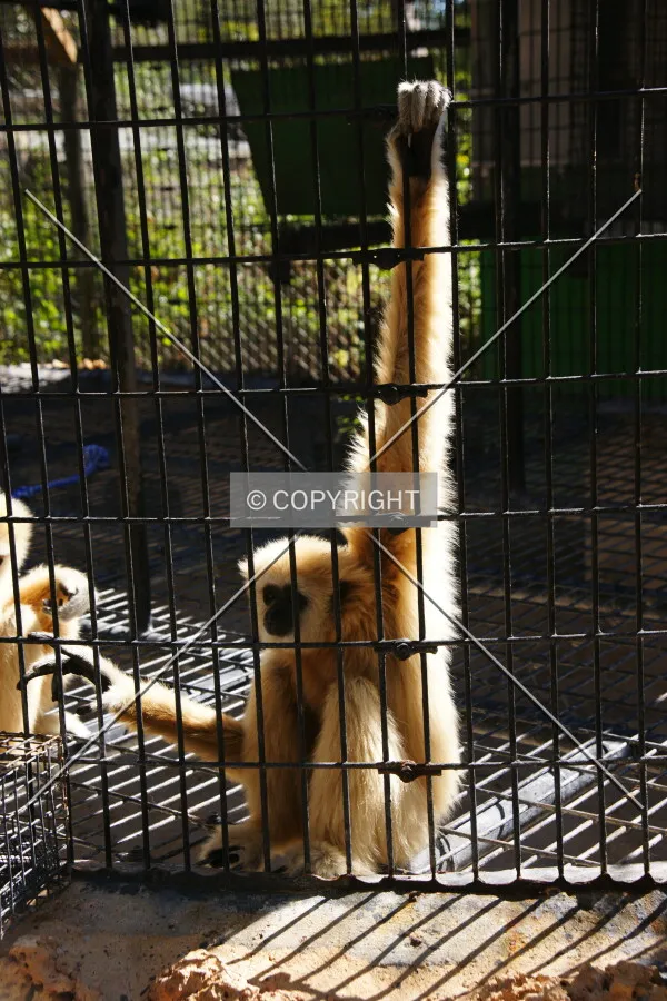 Photo 788-133-444