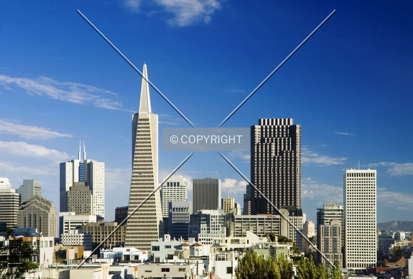 View south from Telegraph Hill