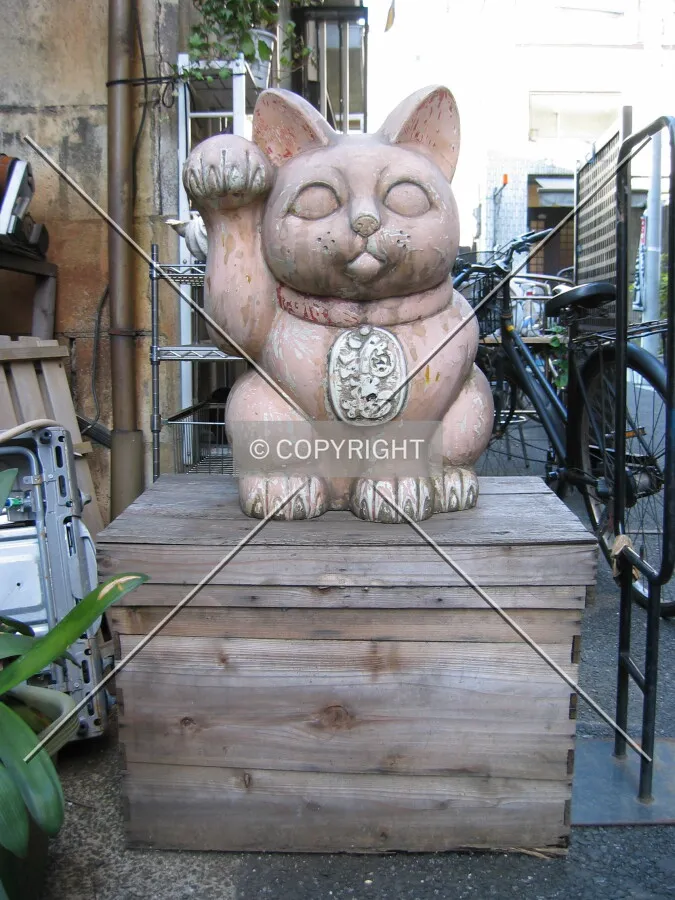 Photo 788-337-884