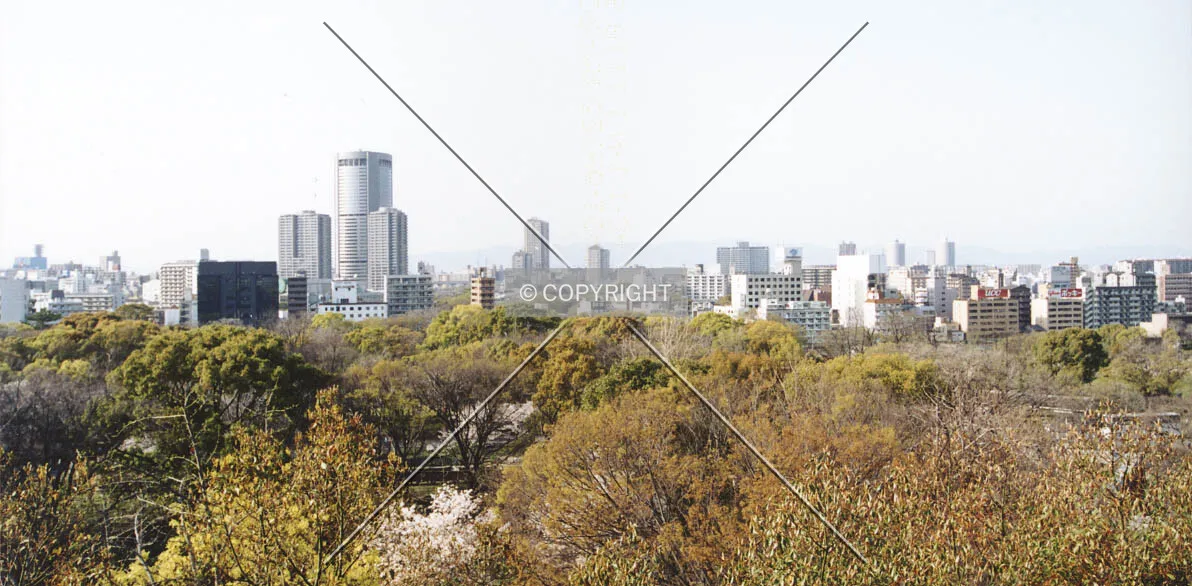 View from Osaka Castle