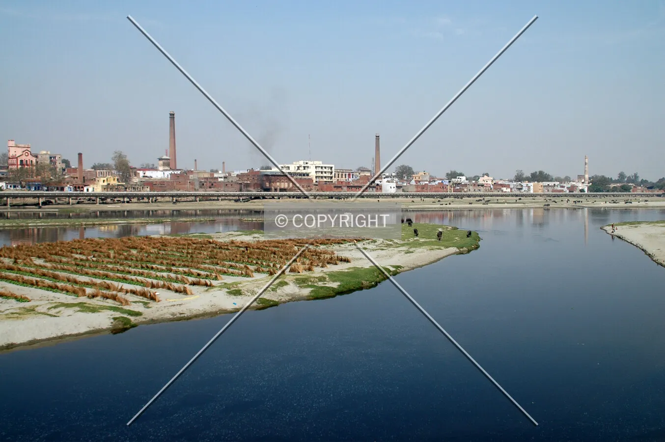 Yamuna River and skyline