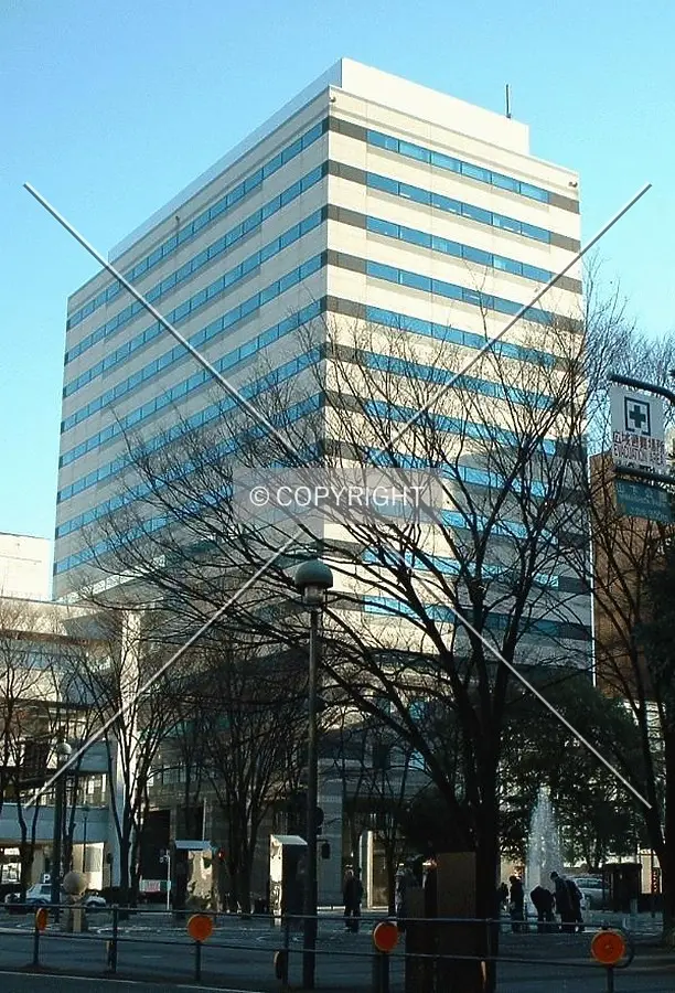 Full view with tree