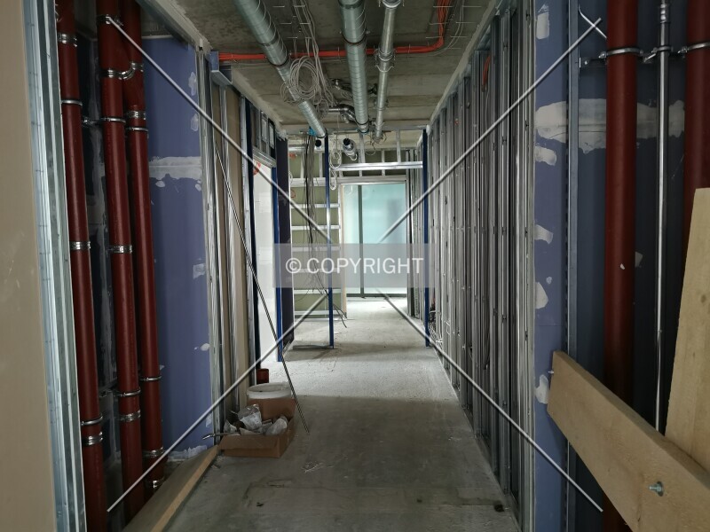 Photo 788-779-029