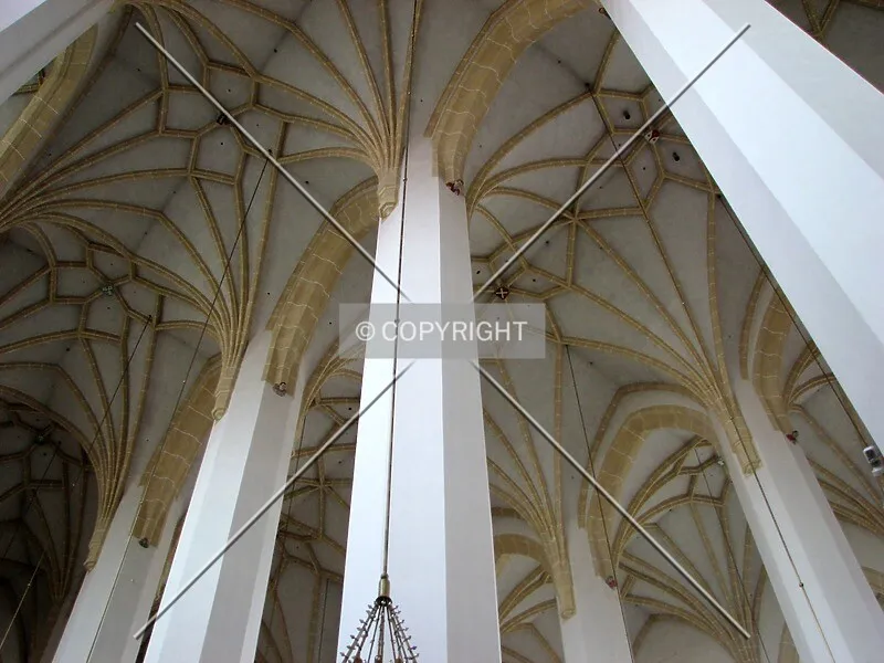 Photo 788-786-484