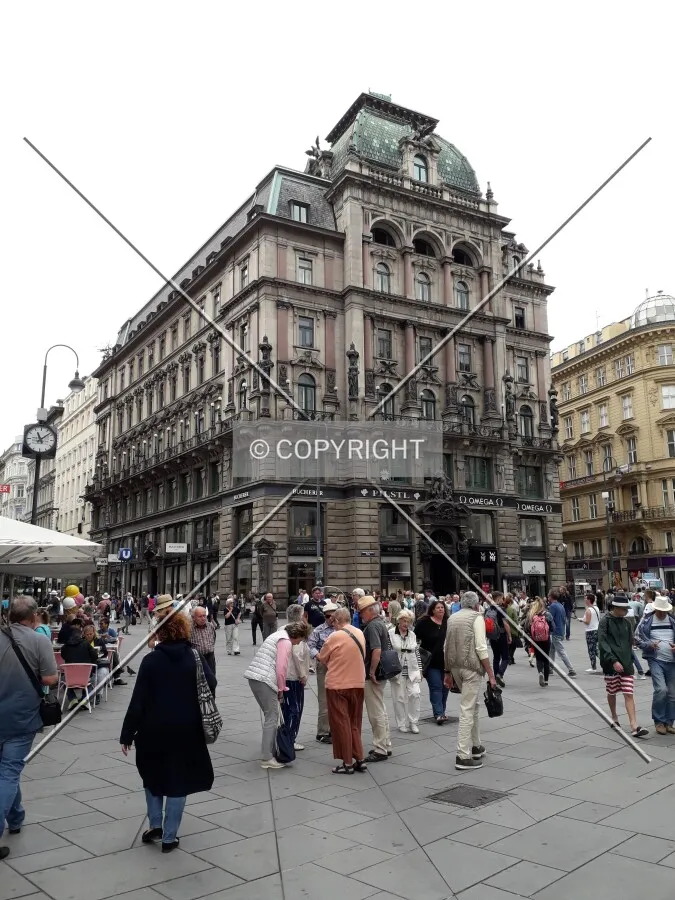 Photo 788-791-273
