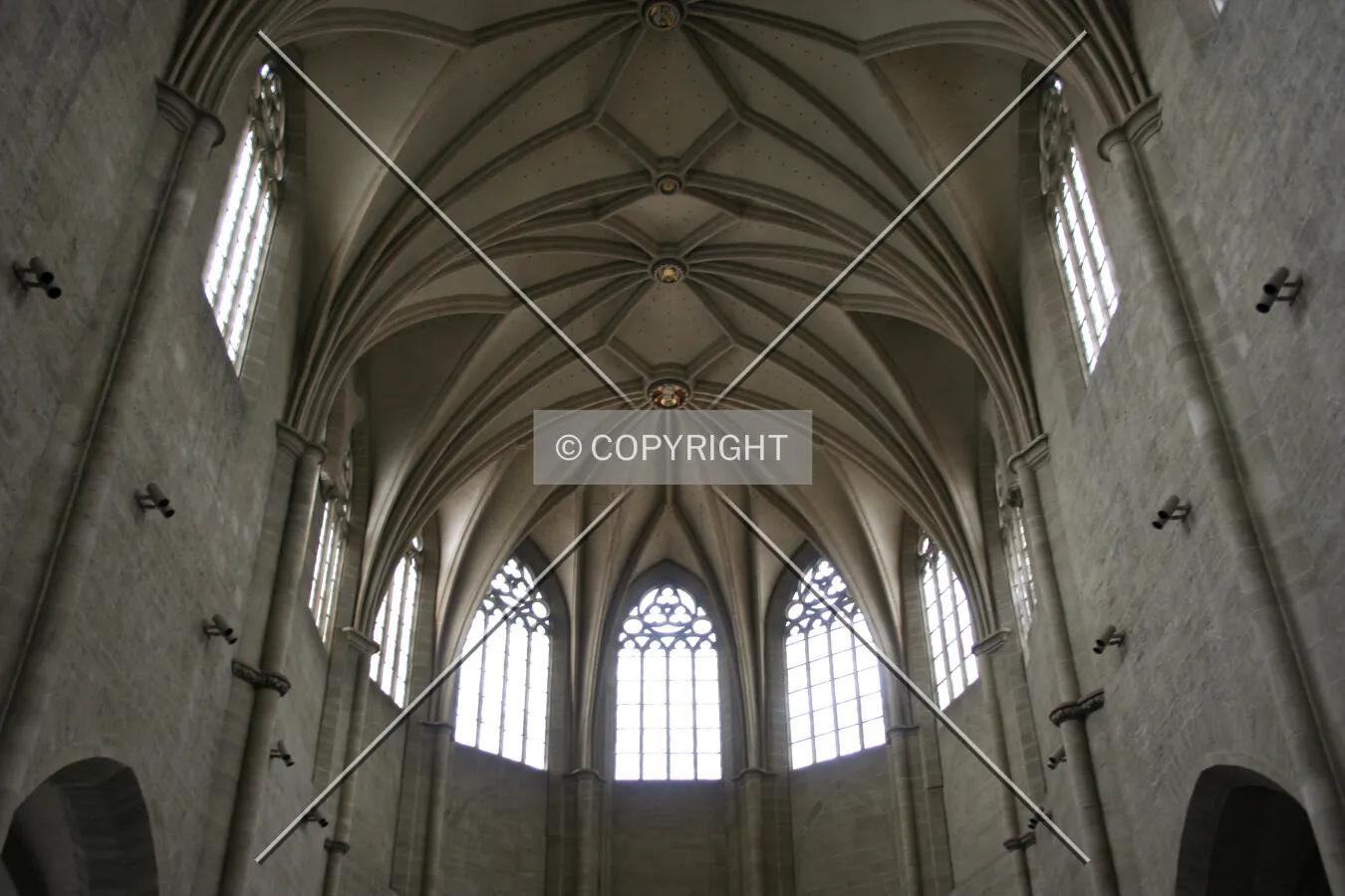 Photo 788-905-590