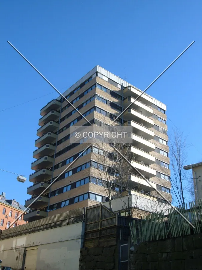 View from the south