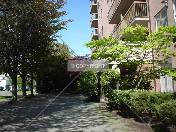 Photo 078-913-772