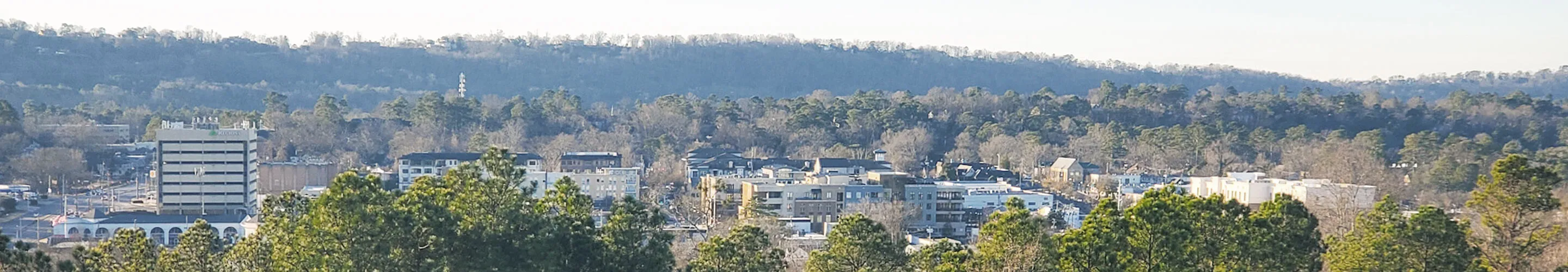 Panorama of Homewood