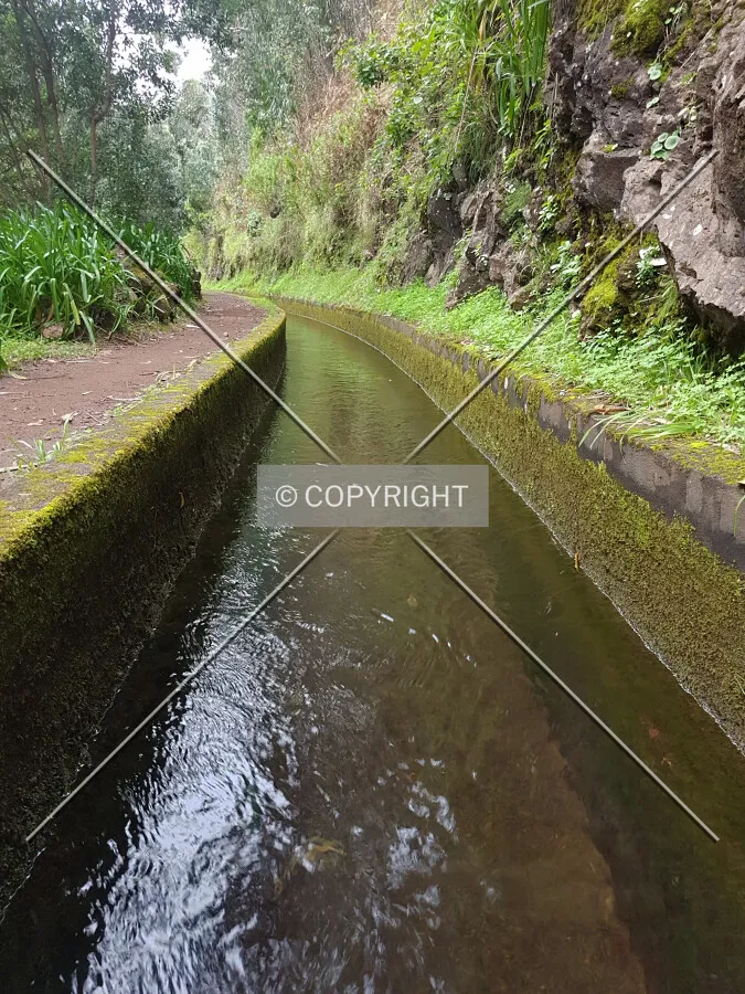 Levada da Ribeira da Janela