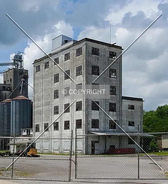 Photo 790-217-349