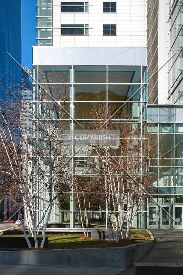 Glass box from the south