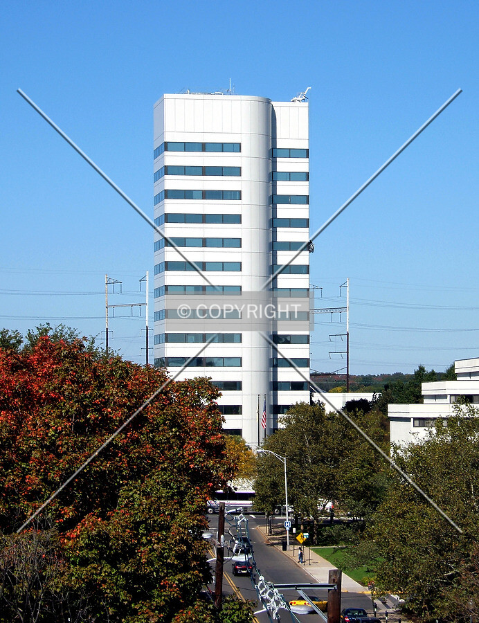 View from the south along Neilson Street