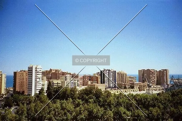 Photo 790-889-993