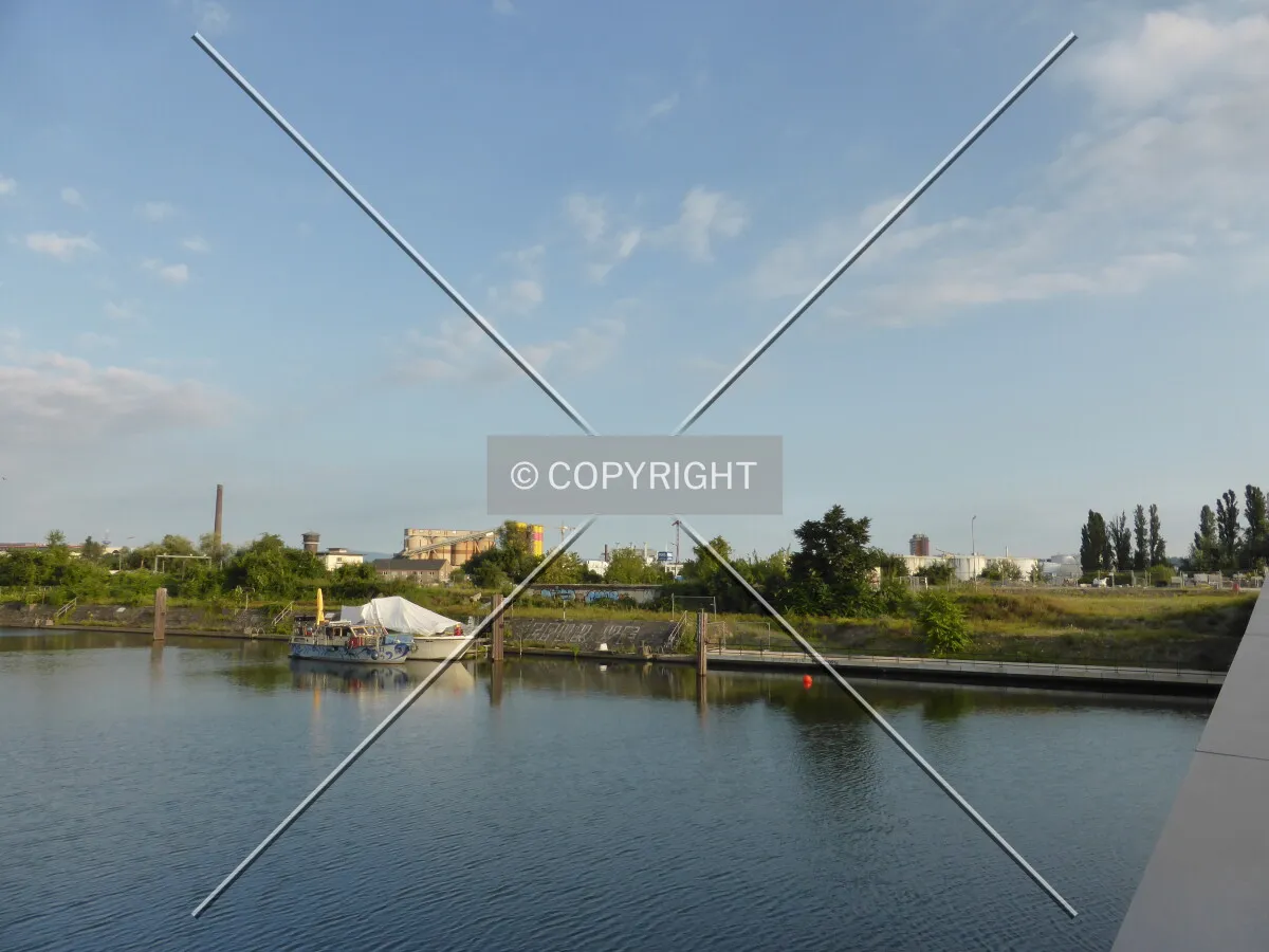 Photo 790-932-293