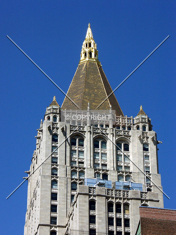 Photo 790-945-805