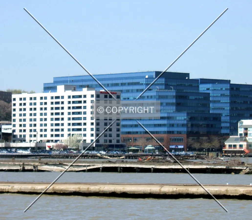 View from the south