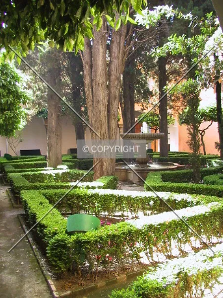 Photo 791-126-861
