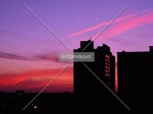 Photo 791-355-559