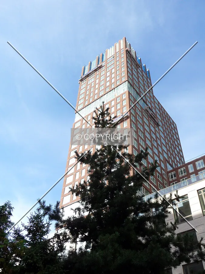 View from the northeast