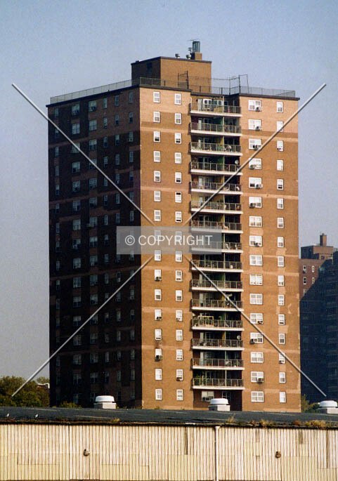 View from the East River