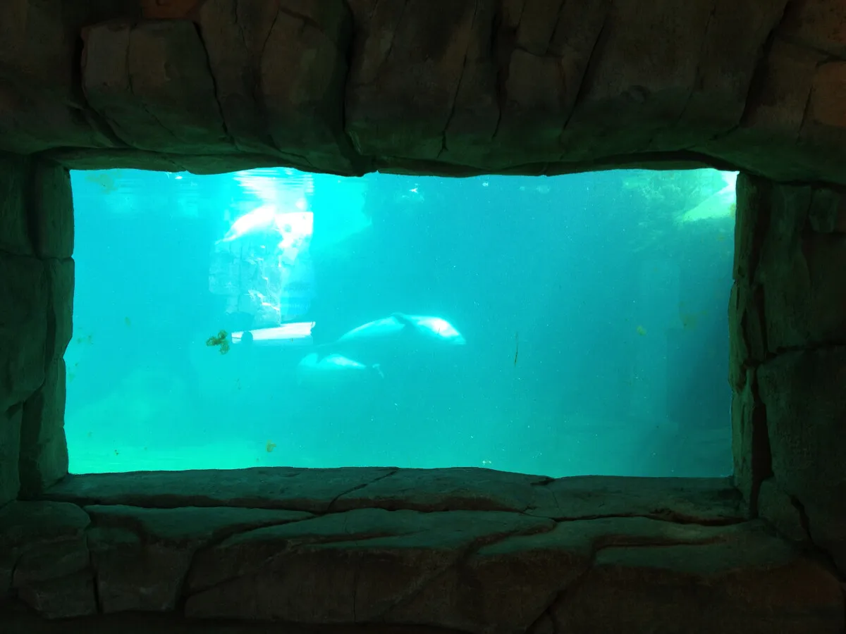 Photo 791-964-579