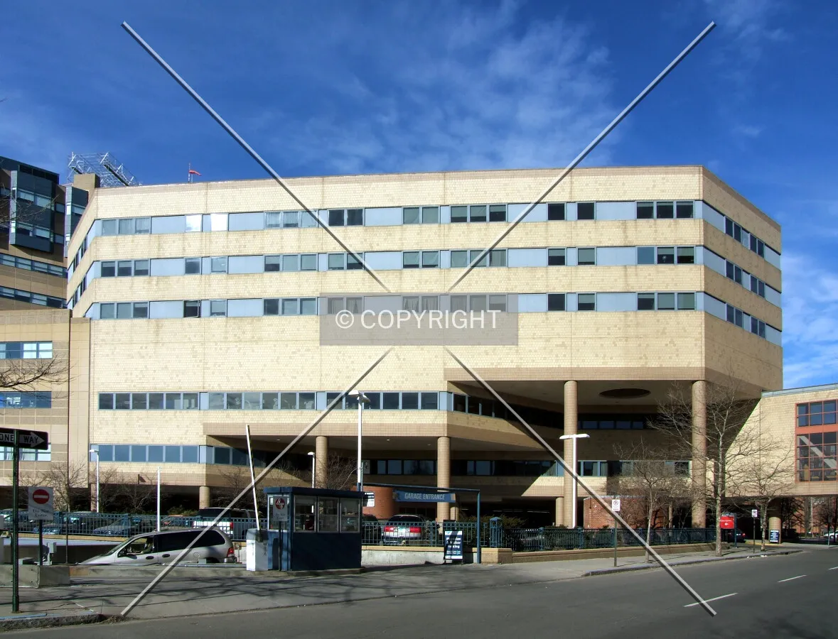 View from the southwest