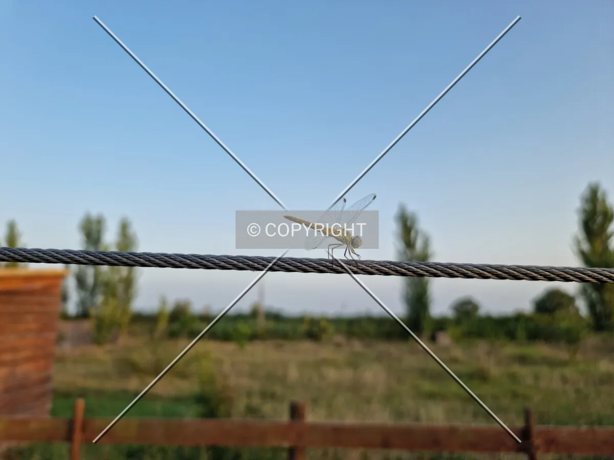 Photo 792-657-643