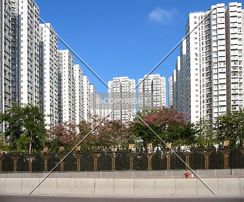 View from Wai Yip Street