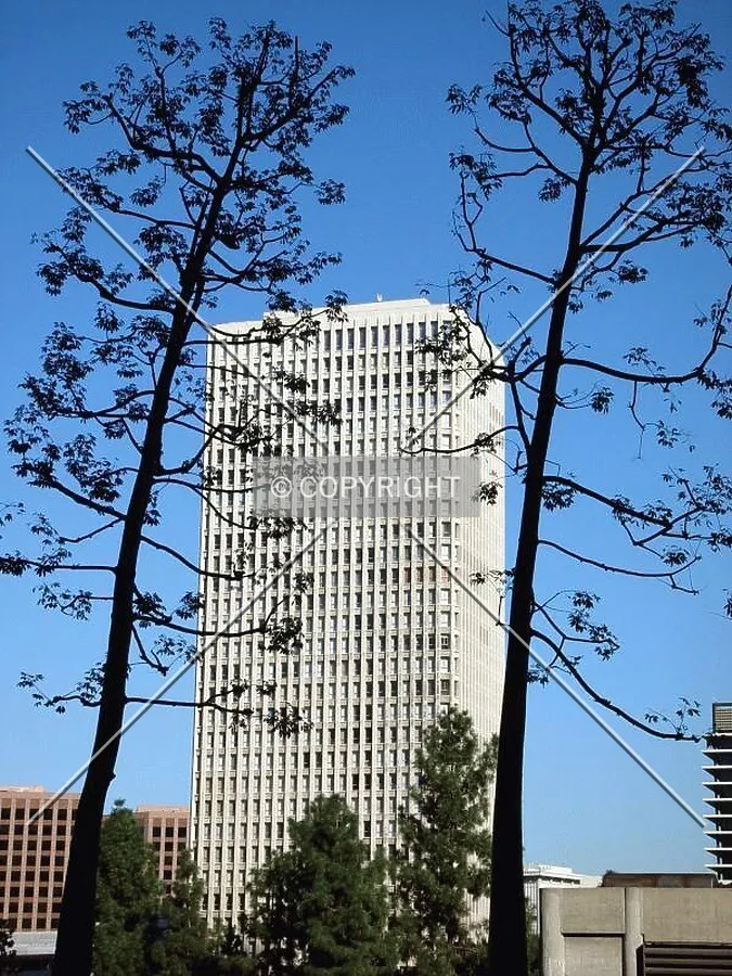 Tallest of the Bunker Hill towers
