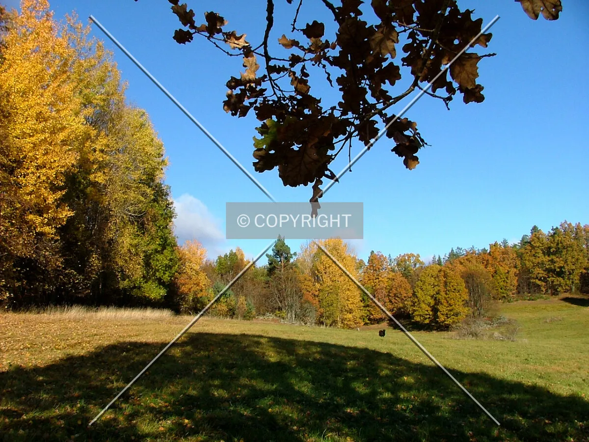 Photo 793-057-827
