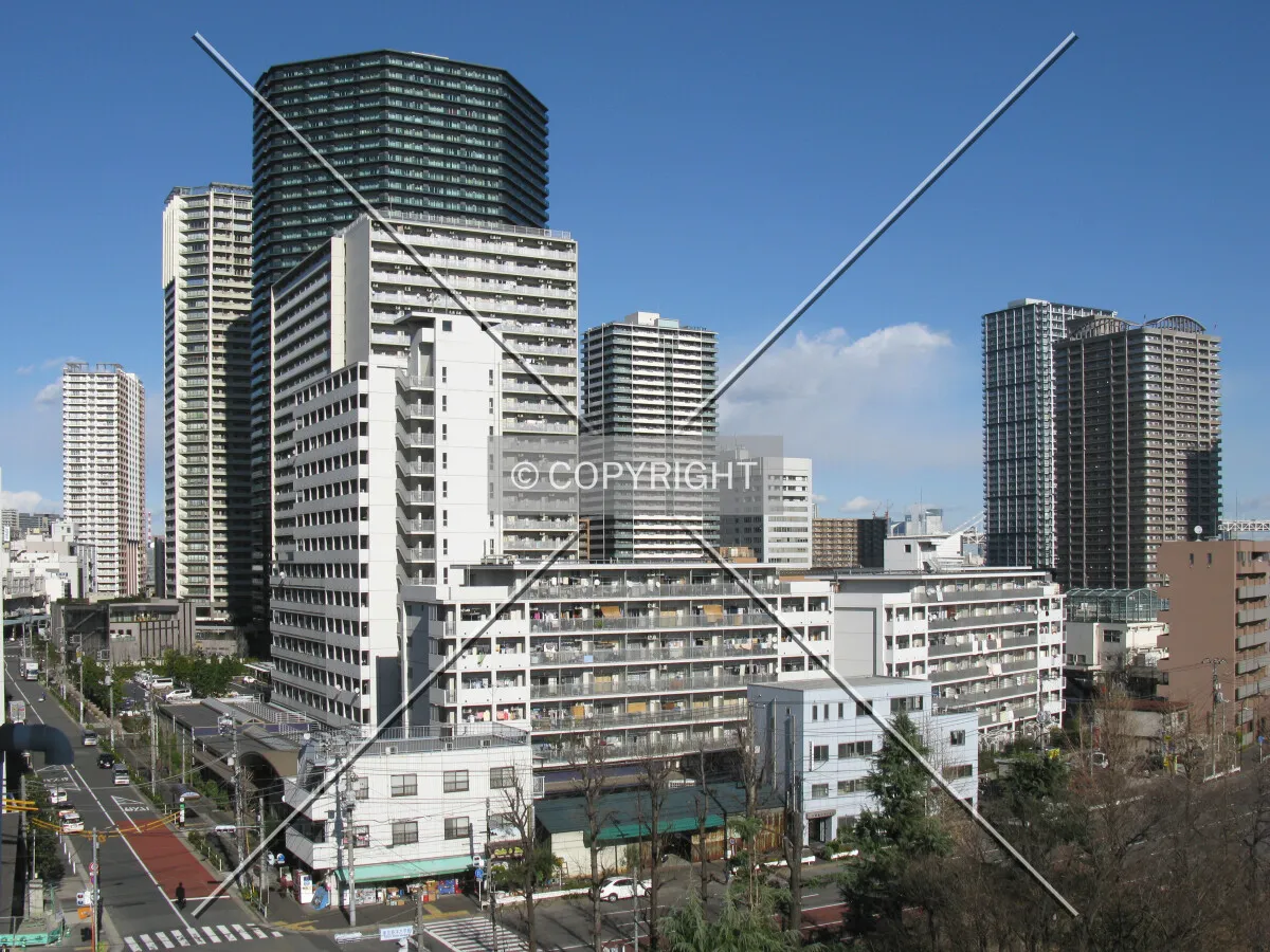 View from the southwest