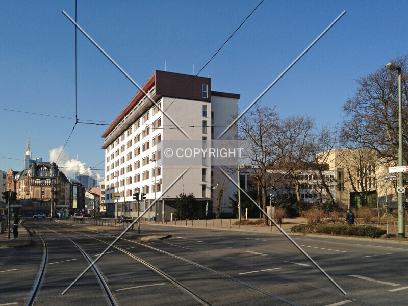 Photo 793-245-904