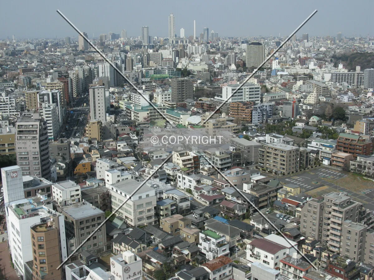 Photo 793-328-867