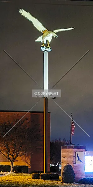 Photo 793-510-775