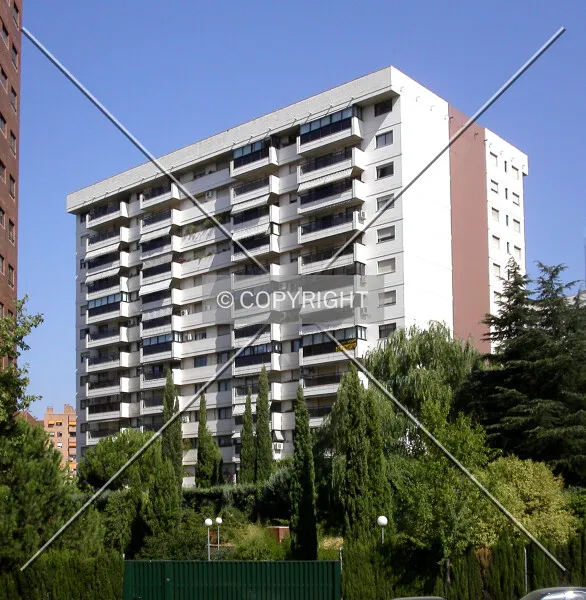 Photo 793-734-984