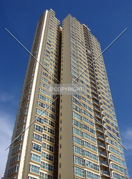 Photo 793-943-682