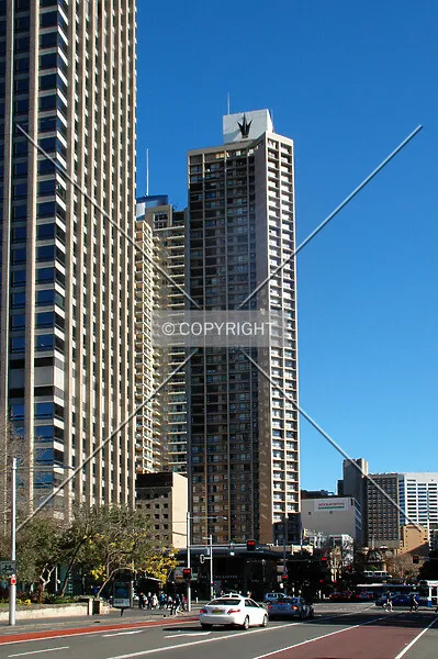 Photo 794-131-213