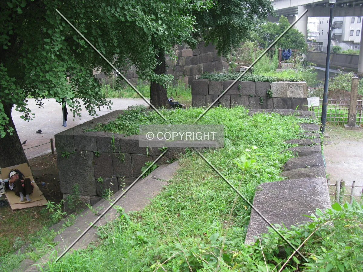 Photo 794-137-809