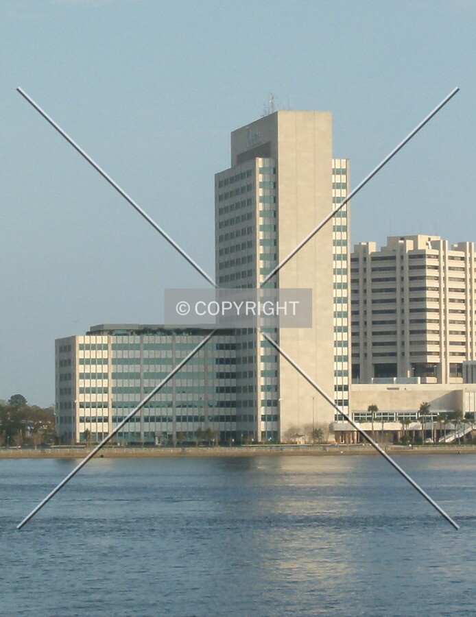 View from across the St. Johns River