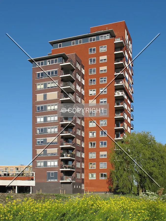 View from the west