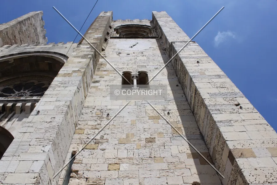 Photo 794-655-345